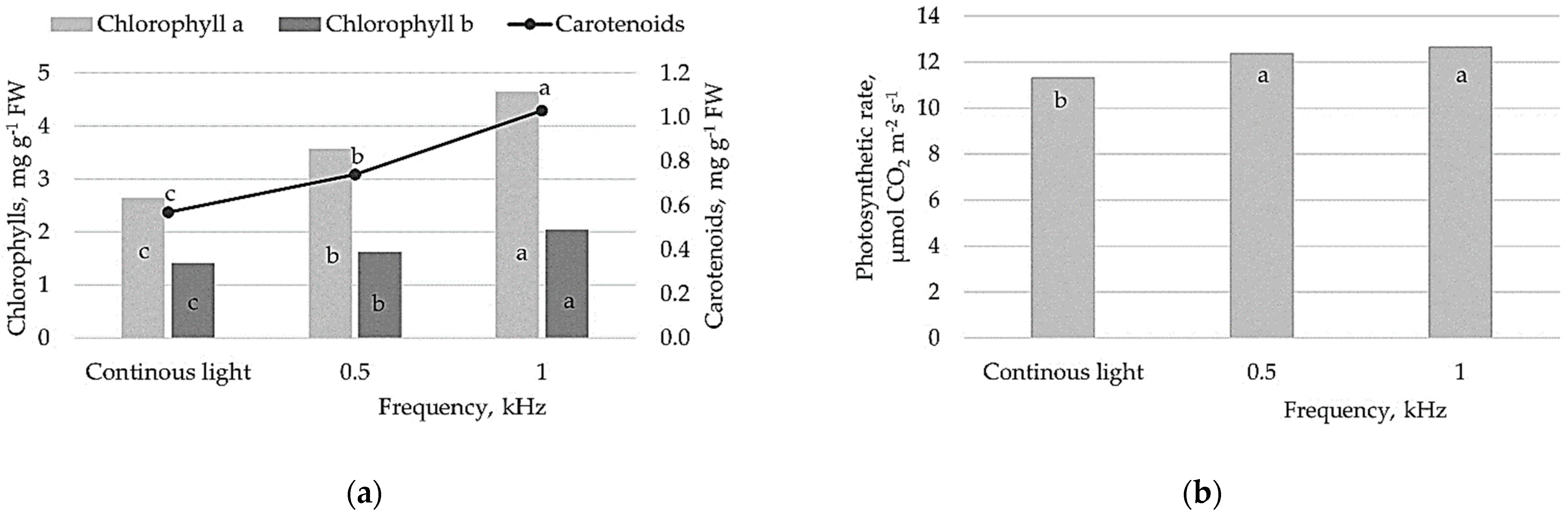 plot of pigment and photosynthetic rate increases